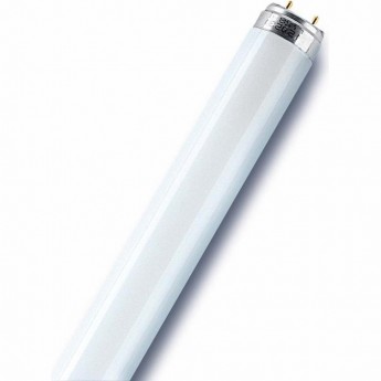 Лампа люминесцентная OSRAM L 18W/640 18Вт T8 4000К G13 смол. Лампа люминесцентная OSRAM L 18W/640 18Вт T8 4000К G13 смол.